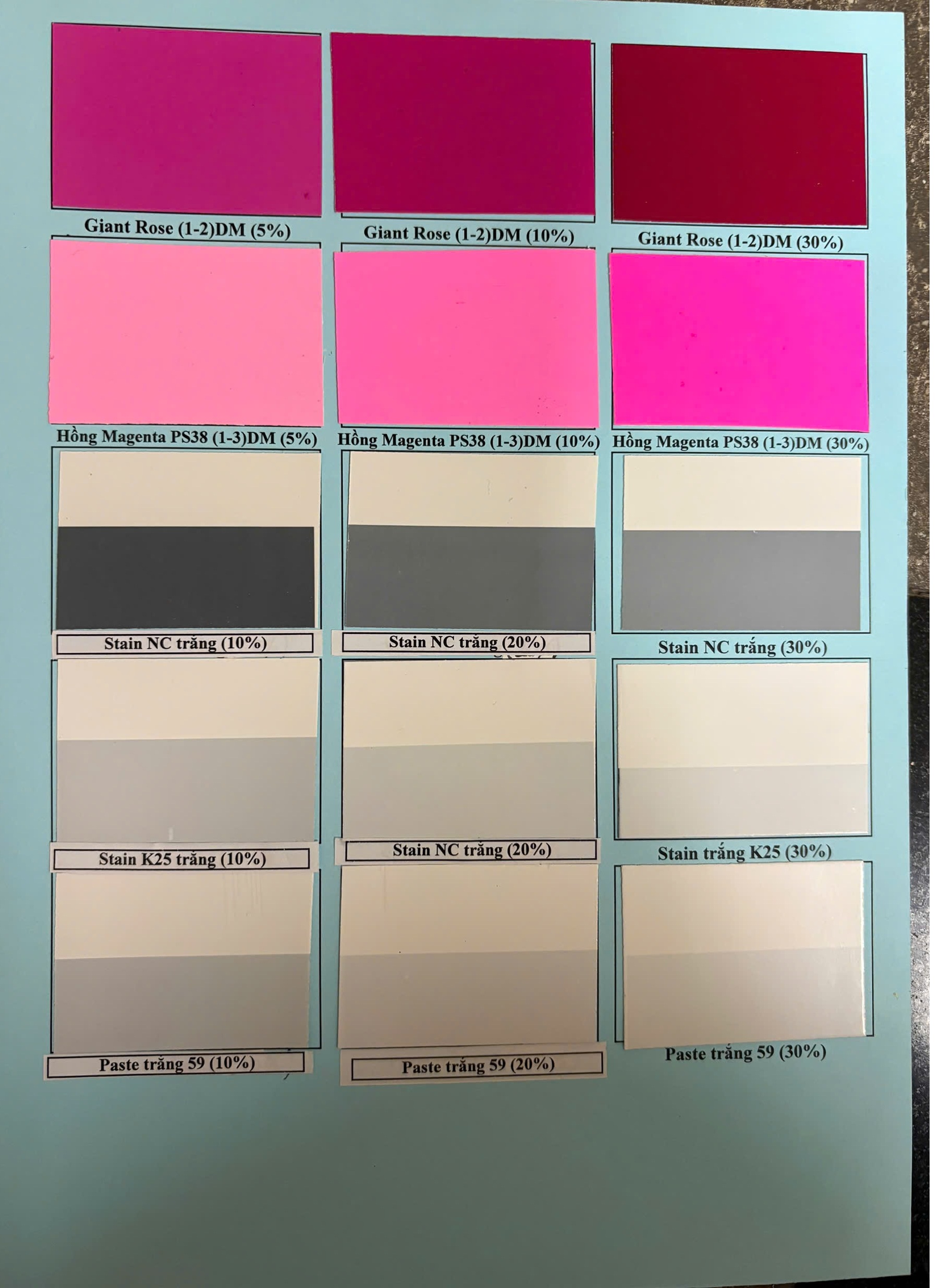 Bảng Màu PIGMENT Chi Tiết 5