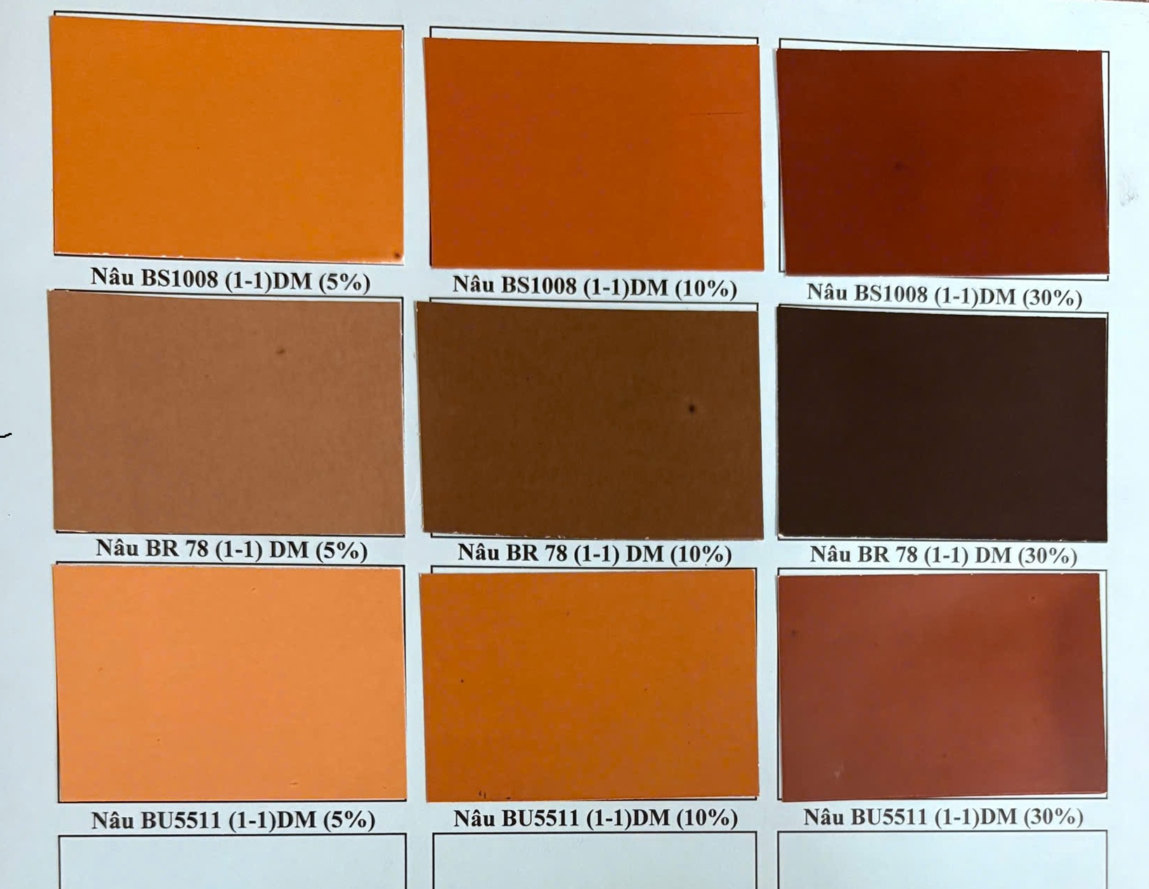 Bảng Màu PIGMENT Chi Tiết 6